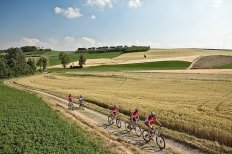 veduta colline monferrato