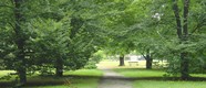 banner associazioni ambientaliste