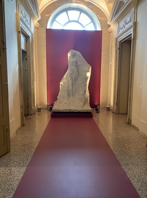 Immagine 2025-06-10 091027