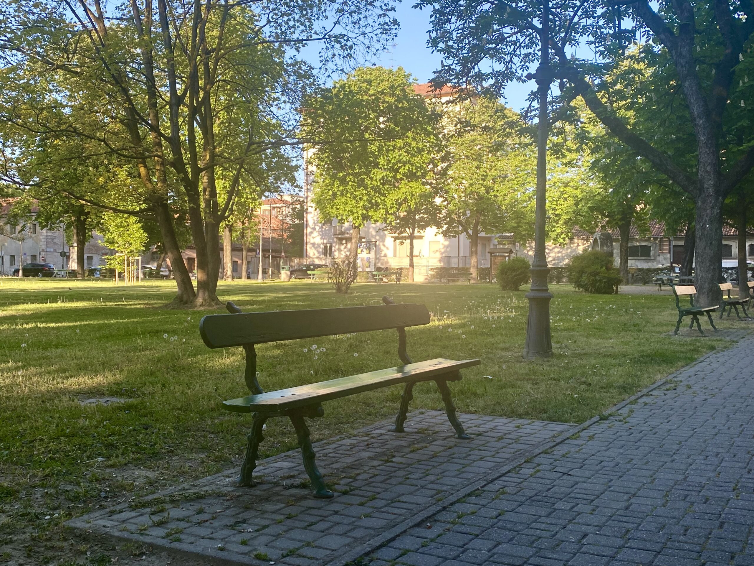 IMG-4445